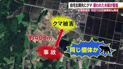 ゴミ出しで玄関先に熊…会津美里町の夫婦が襲われ重傷　クマが車と衝突事故も　各地でイベント中止に　福島