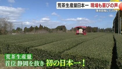 鹿児島のお茶が静岡抑え生産量“日本一”に！「皆さんの協力があって今がある」快挙の原動力は業界全体の地道な取り組み