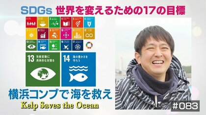 コンブが地球温暖化の防止に？海や農家を救う養殖プロジェクト