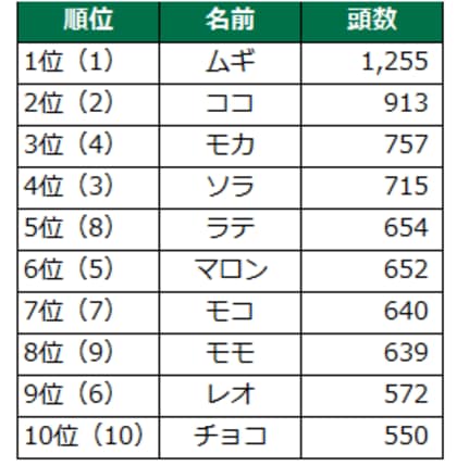 第20回 犬の名前ランキング2024発表!