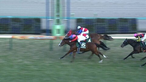 【フェアリーS・GⅢ】大混戦！新年最初の3歳牝馬重賞はブラックチャリスが制す　津村明秀騎手 2週連続重賞制覇で2026年好スタート！