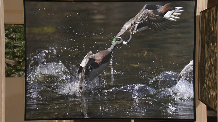 撮影：高円宮妃久子さま