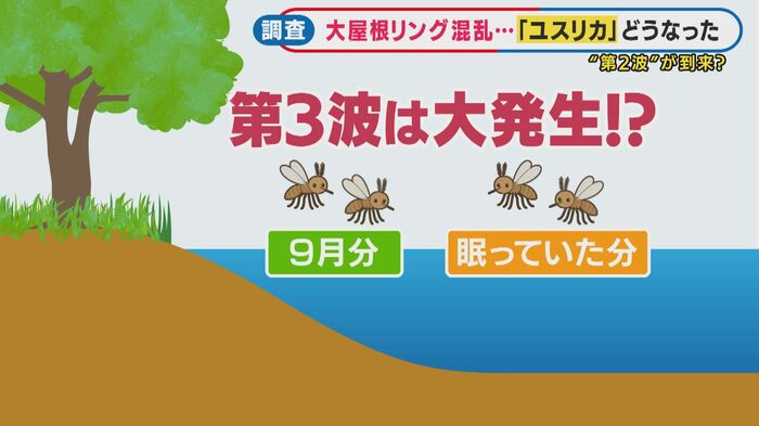 9月はユスリカ第3波か?
