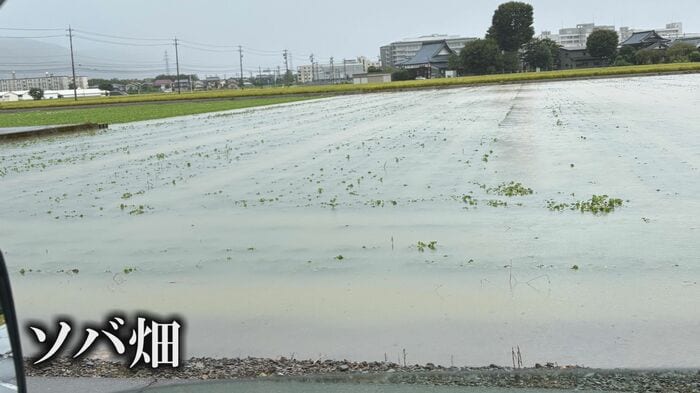 冠水したソバ畑（8月30日大川さん撮影）
