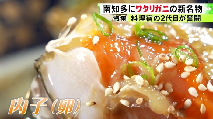 ニュースONE