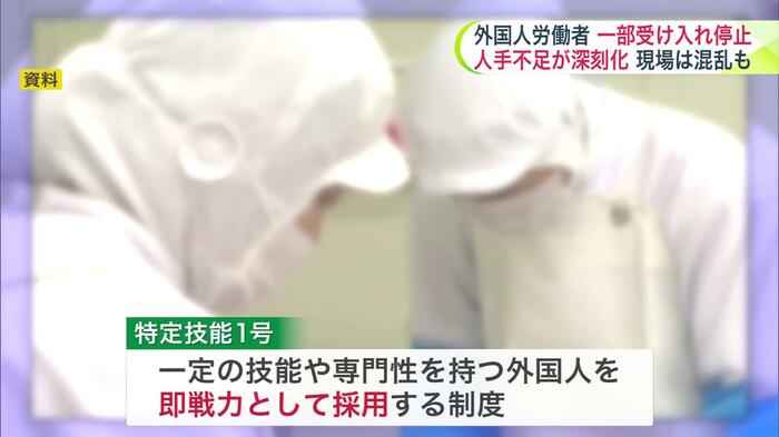 外国人の在留資格の一つ「特定技能1号」