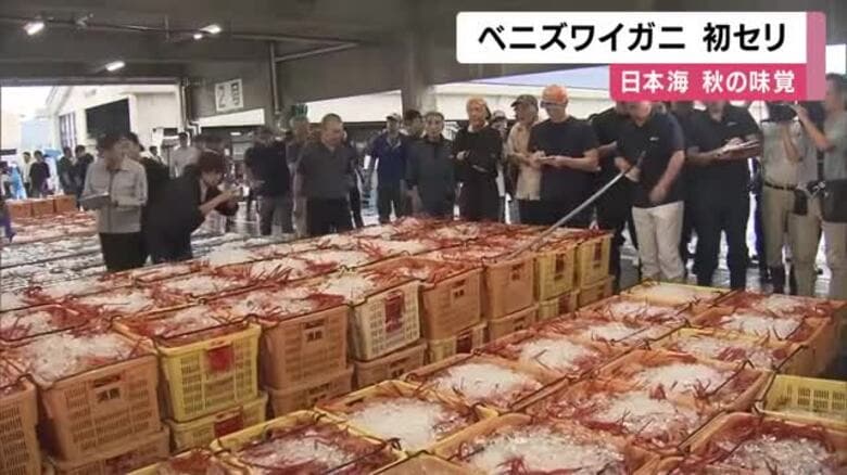 日本海の秋の味覚「ベニズワイガニ」初セリ　ふるさと納税返礼品でも人気　「美味しいのでいっぺん食べて」｜FNNプライムオンライン
