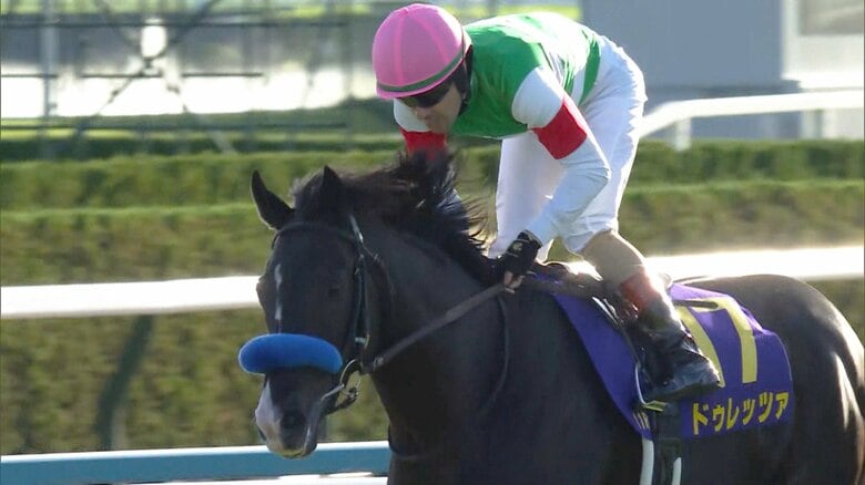 【競馬・菊花賞】クラシック３冠最終戦　真の強さが問われる大一番! ダービー馬か、それとも…｜FNNプライムオンライン