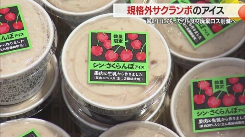 一口食べると新鮮なサクランボの甘みが広がる！　果肉30％以上のフレッシュなアイス発売・規格外の食材廃棄ロス削減【山形発】｜FNNプライムオンライン