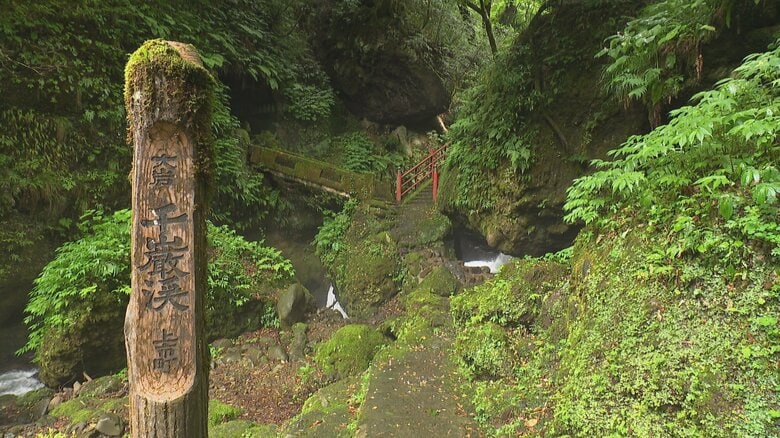 専門家も認める「コケの聖地」富山・千巖渓の魅力 - 梅雨時こそ訪れたい隠れた観光スポット｜FNNプライムオンライン