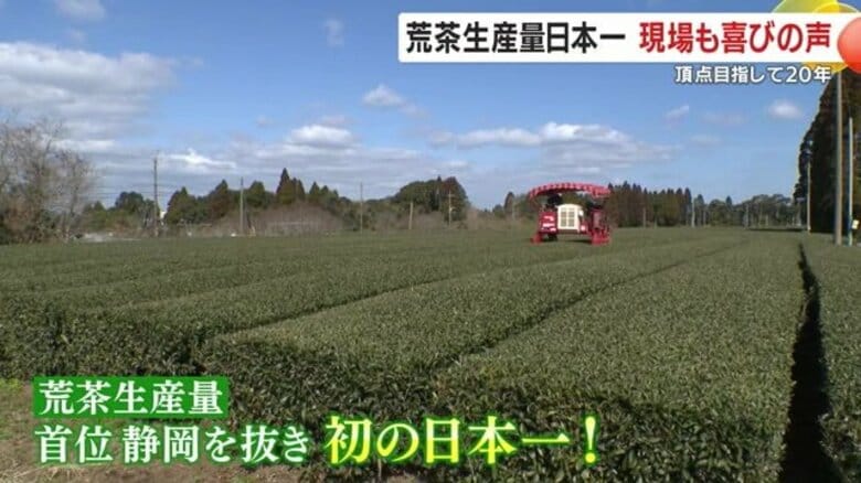鹿児島のお茶が静岡抑え生産量“日本一”に！「皆さんの協力があって今がある」快挙の原動力は業界全体の地道な取り組み｜FNNプライムオンライン
