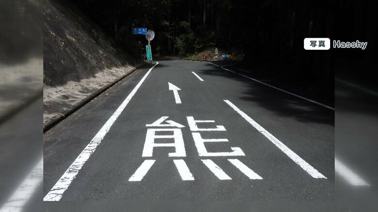 えっクマ!?
