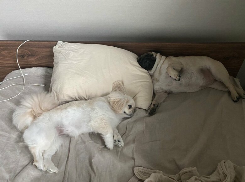 提供：よこむすびさん