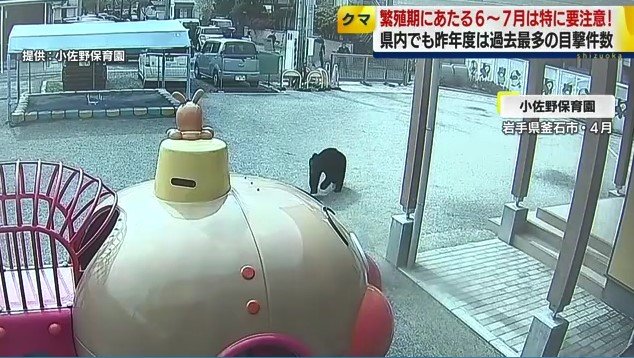 保育園に侵入したクマ（提供： 小佐野保育園）