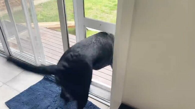 慌てて別のドアから出て追いかける