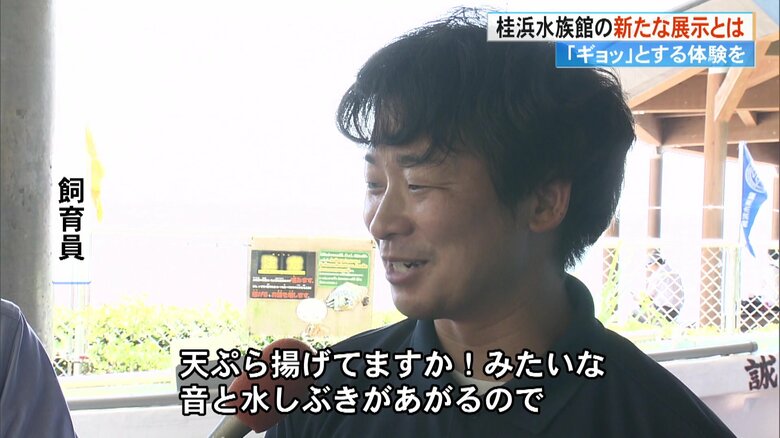えさやりで「揚げ物のような音と水しぶき」を体験できるという…。