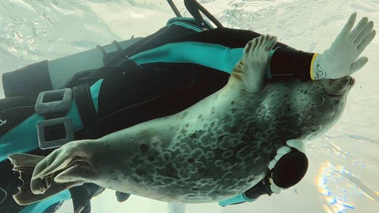 抱えられるまで。その2（提供と撮影：ガッチリカさん）