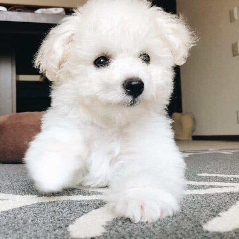 小さな頃からかわいい
