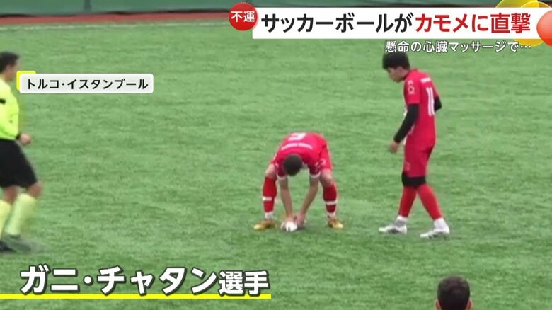 カモメに駆け寄ったガニ・チャタン選手（IHA）