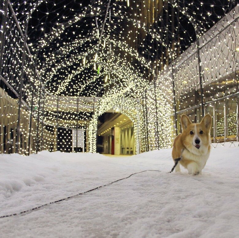 提供：むぎん家＠きよらさん