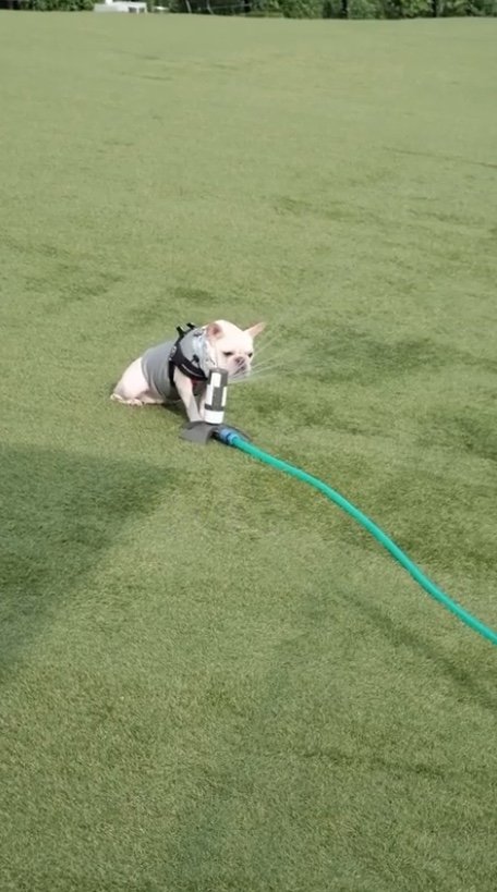 提供：むぎさん