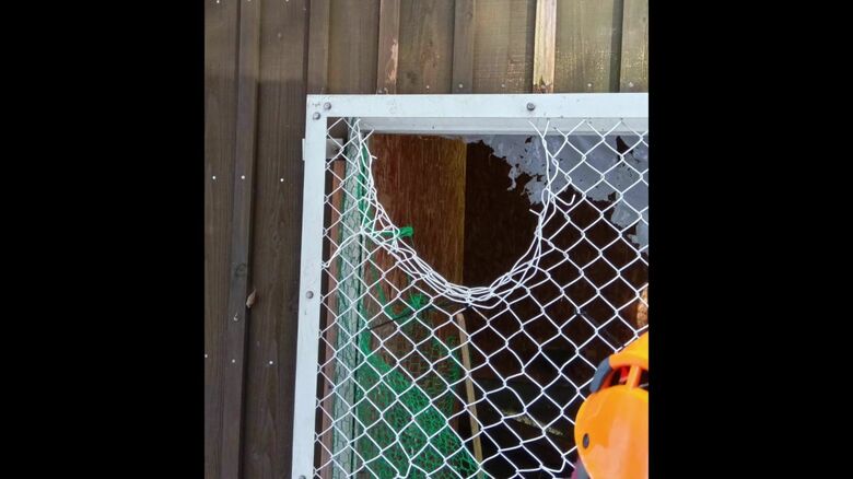 クマにより破られた建物の金網（提供：札幌市）