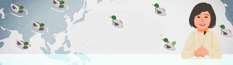 「鴨ちゃんねる」すべての記事を読む