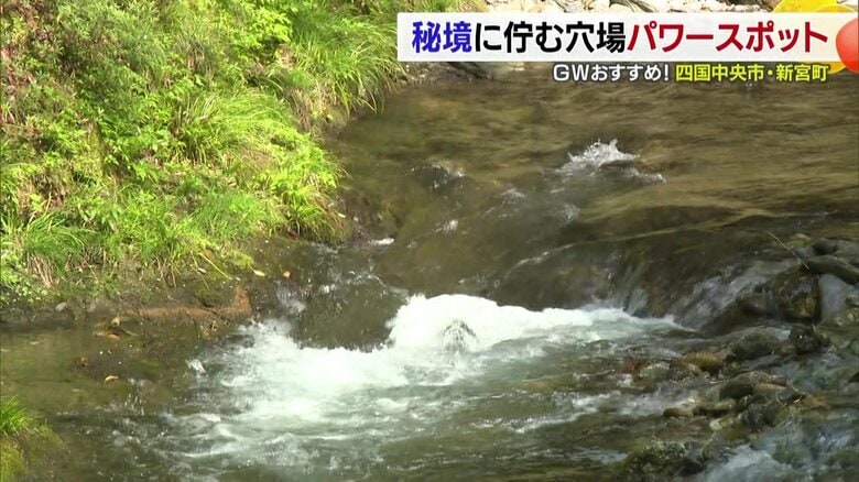 おいしいお茶と新緑の大自然でリフレッシュ