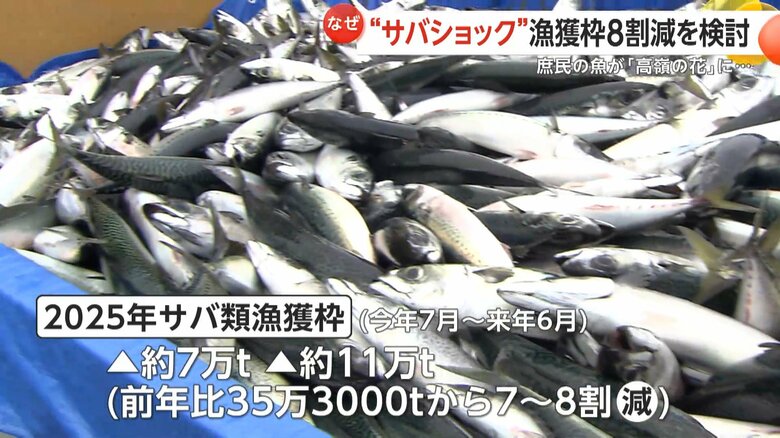 水産庁が漁獲枠を7〜8割減少させる検討