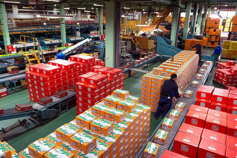 選果場の様子（提供：のま果樹園）