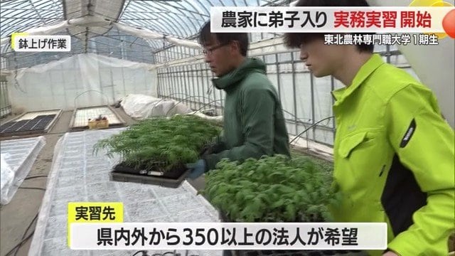 学生が目指す“将来像”と受け入れ先をマッチングして、実習先を決める