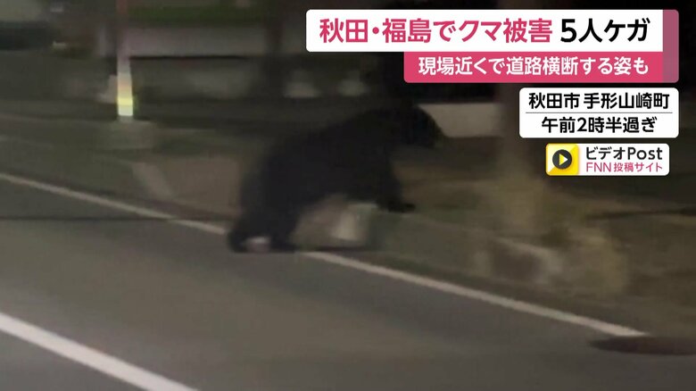 深夜の道路を住宅街に向かって横断するクマ⑧