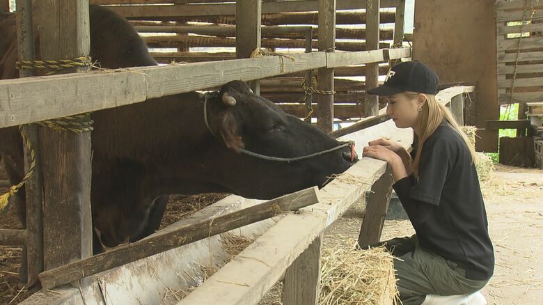 愛情込めて育て上げられる　みくりや牛