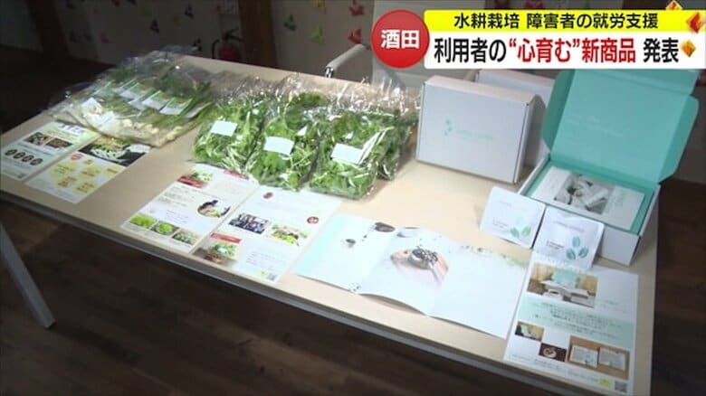 発表された新商品