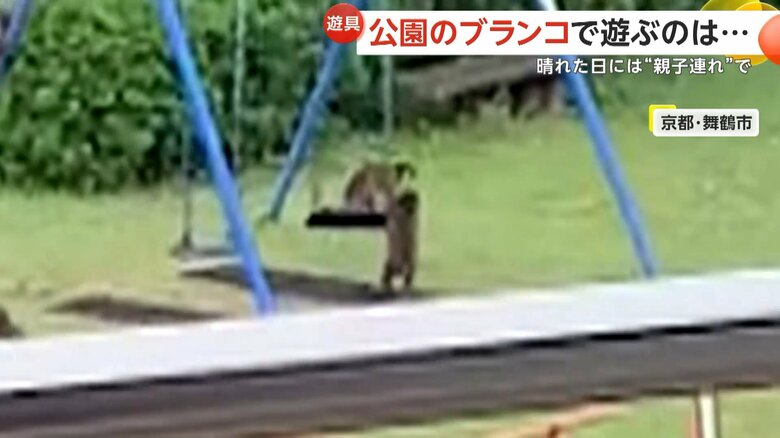 早く代わってと、まるで人間のようなそぶりを見せるサル⑥