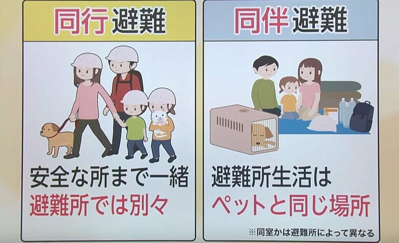 避難所の受け入れを事前に確認！