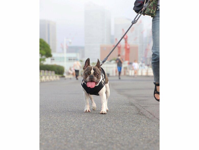 提供：丸男さん