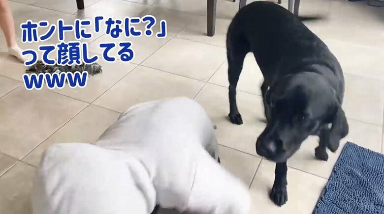 混乱しているえんぞうくん