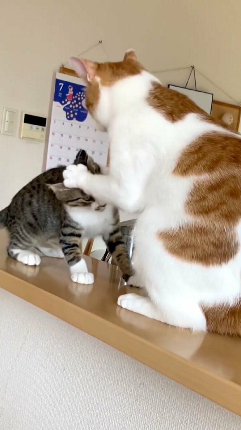 わさびくんはそれをおさえて…