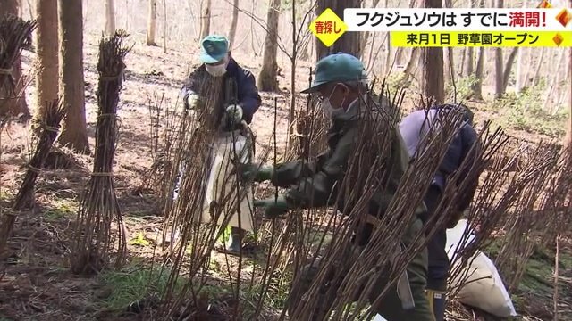オープンの準備をするスタッフ