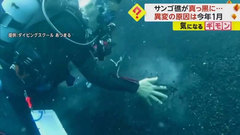 ダイバーがサンゴ礁に接近する