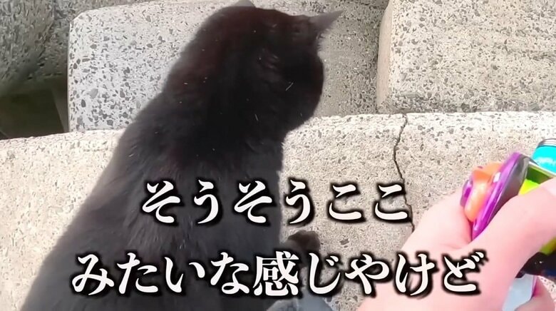 黒ちゃんが立ち止まった場所で釣ってみると…
