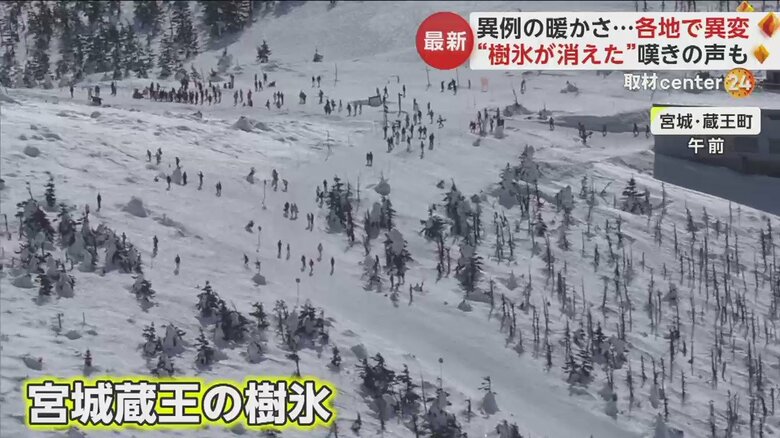 冬の風物詩「樹氷」を楽しみに観光客が訪れている