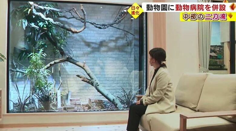 “爬虫類と暮らす家”モデルルーム　