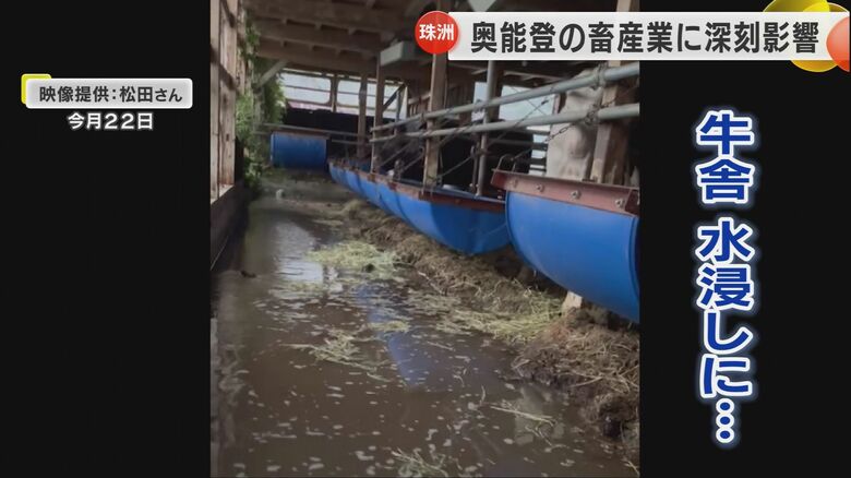 豪雨による浸水で水浸しになる牛舎