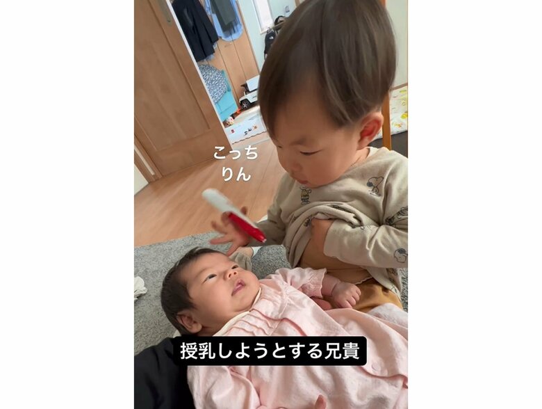 提供：＠zen_pokoさん