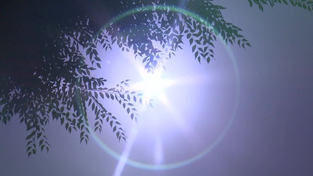 2023年の夏はハスモンヨトウの発生にマイナスになる要因がなかった