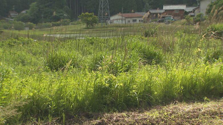 過疎と高齢化が進む能登では農業の担い手も減っている