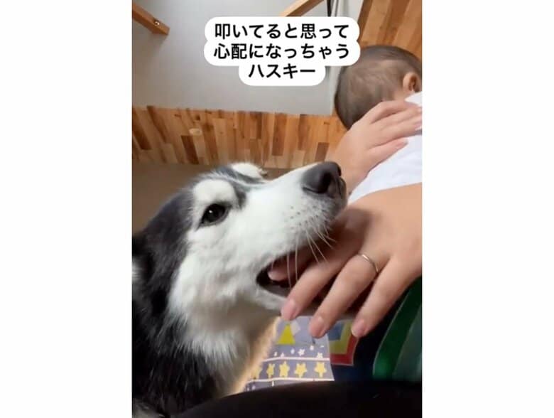 「やめて〜」と手を甘噛み（提供：akariさん）