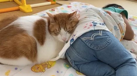 提供：Hassakuさん